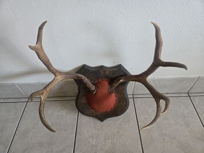 Antlers