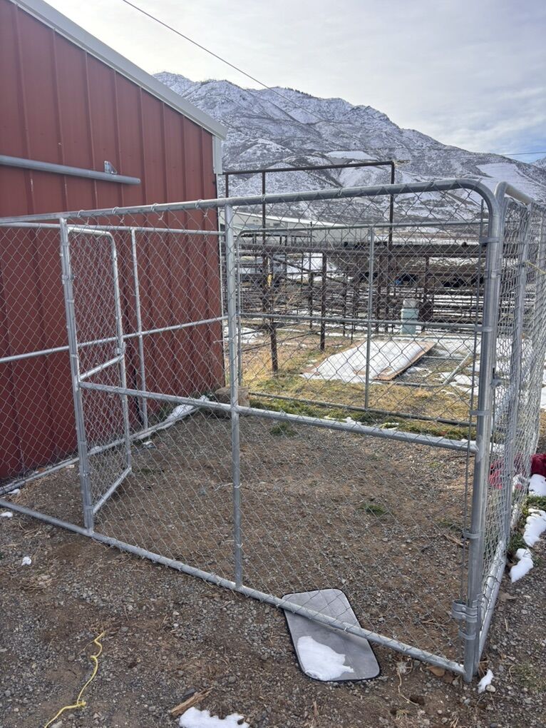 10x10 Dog kennel