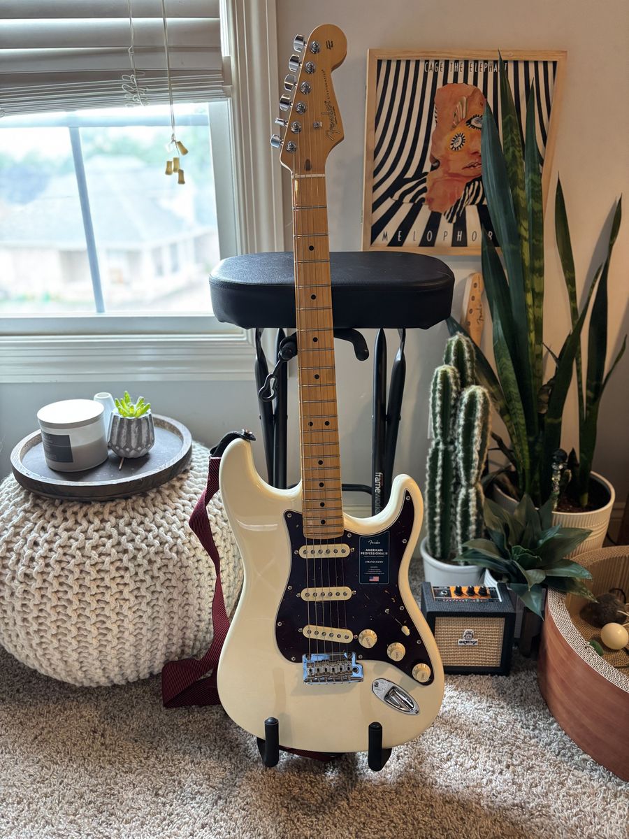 American Professional ii Stratocaster & MIM Jazz Bass Combo