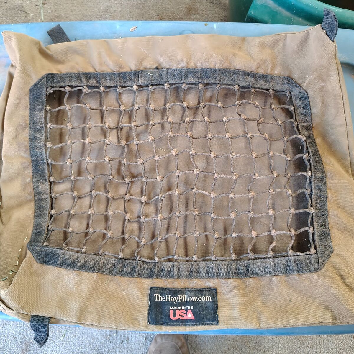 Miniature Horse Slow Feeder