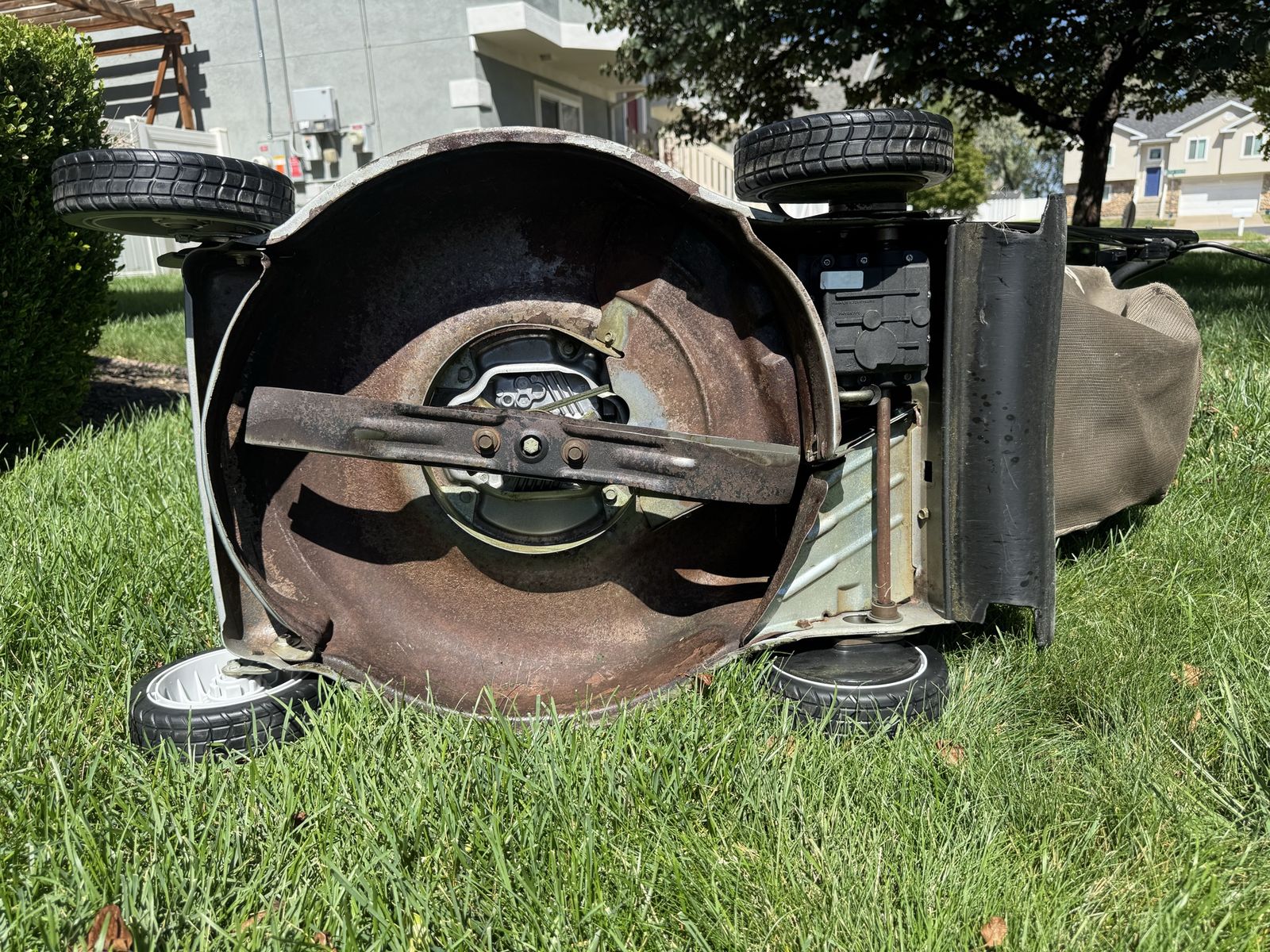 Main image 6