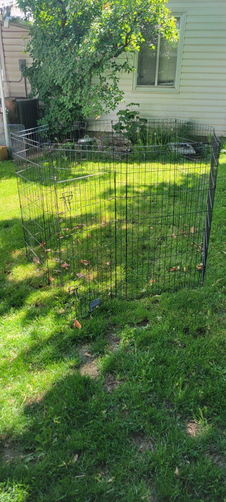 dog kennel