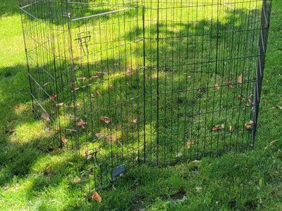 dog kennel