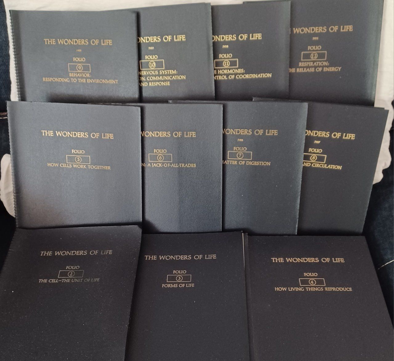 Rare Vintage Educational Book Set