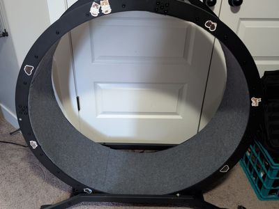 Cat Exercise Wheel