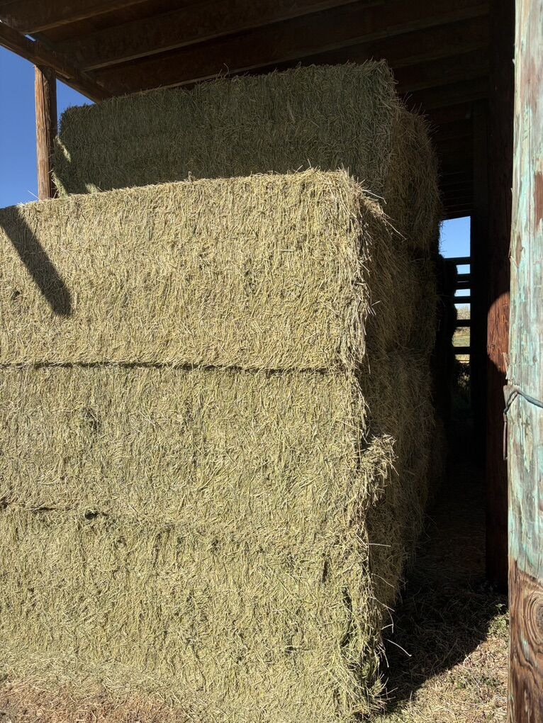1/2 Ton Alfala Hay