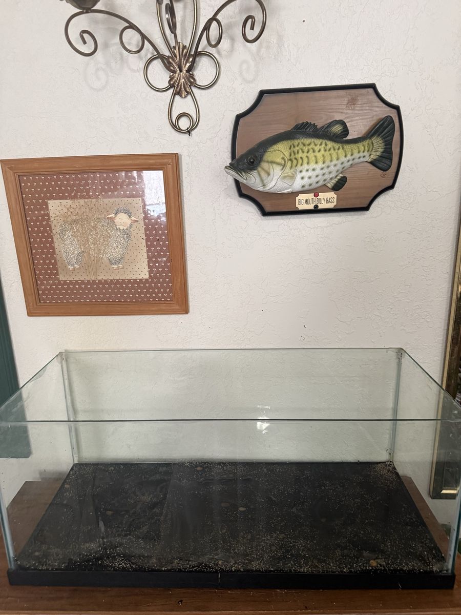 Rimless 20 gallon tank