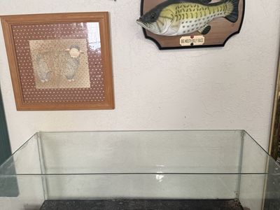 Rimless 20 gallon tank