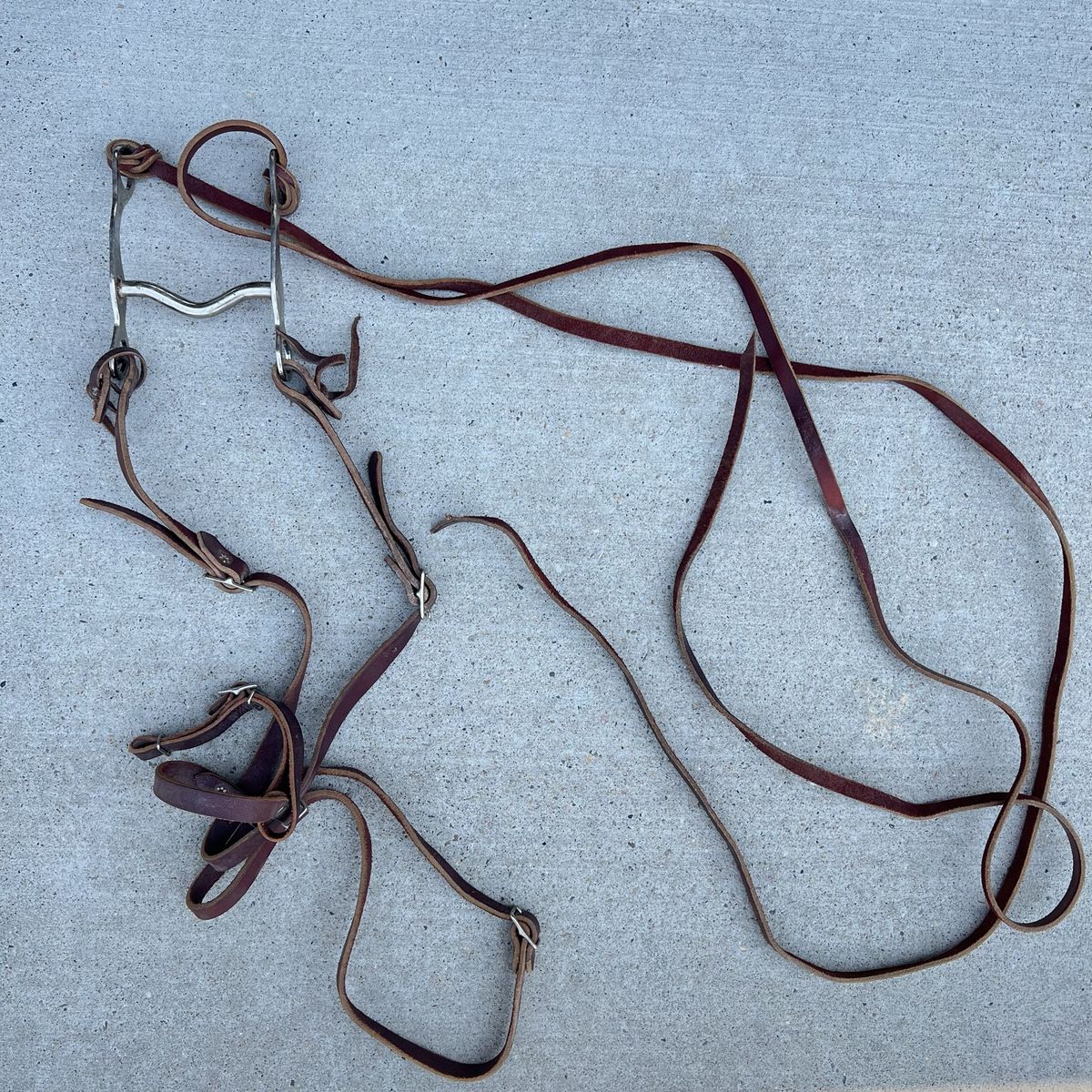 Leather Western Headstall Bridle with Curb Bit and Split Reins