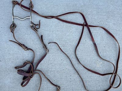 Leather Western Headstall Bridle with Curb Bit and Split Reins
