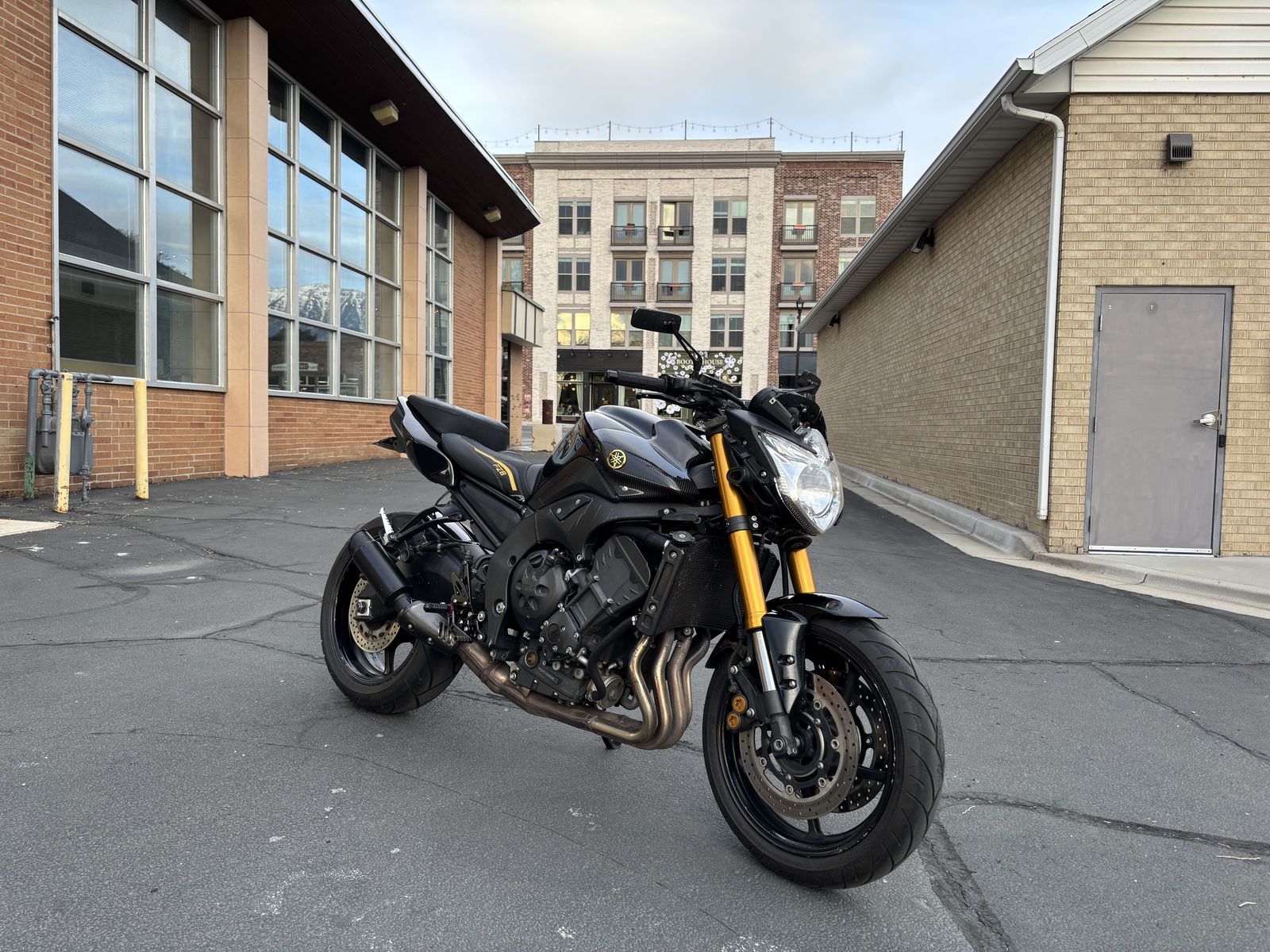 2011 Yamaha FZ800