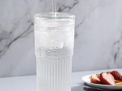 Glass Cup With Glass Lid & Glass Straw