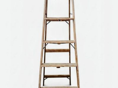 Davidson Wood Ladder