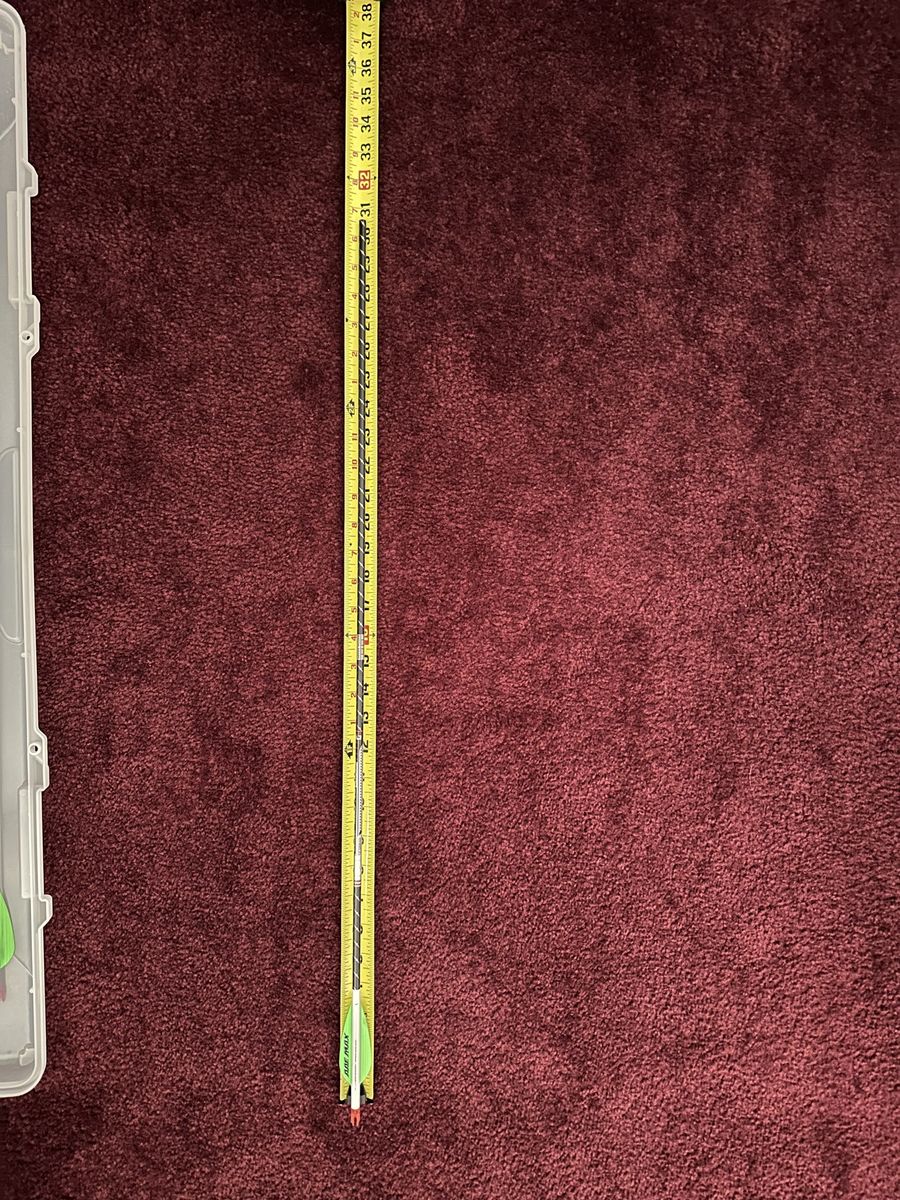 Main image 6