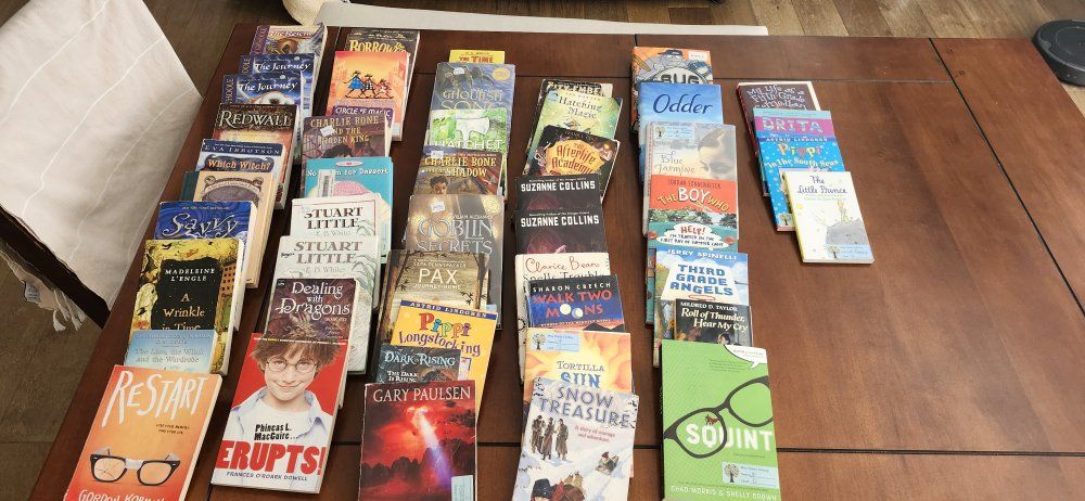 Fabulous Youth Books!