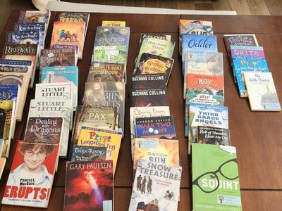 Fabulous Youth Books!