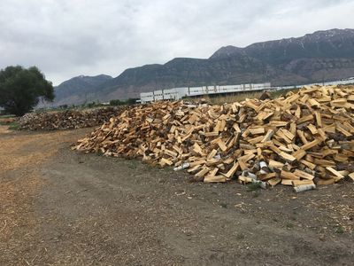 Firewood