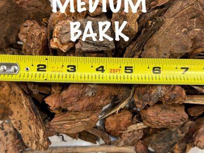 SMALL & MEDIUM BARK