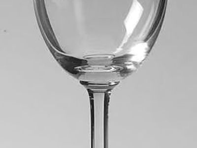 Champagne Glasses