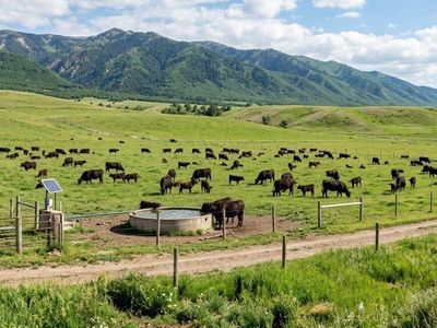 Let My Cattle Protect Your Greenbelt & Water Right