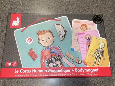 Janod Body Magnet Game - Anatomy Skeleton