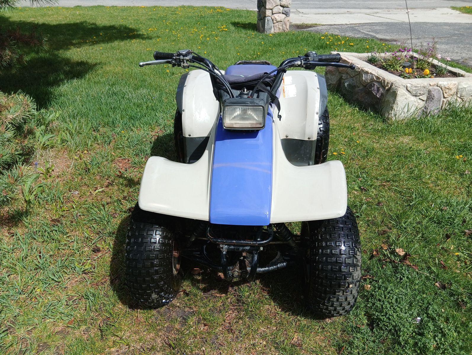 97 Yamaha breeze