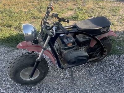 Coleman Bt200x