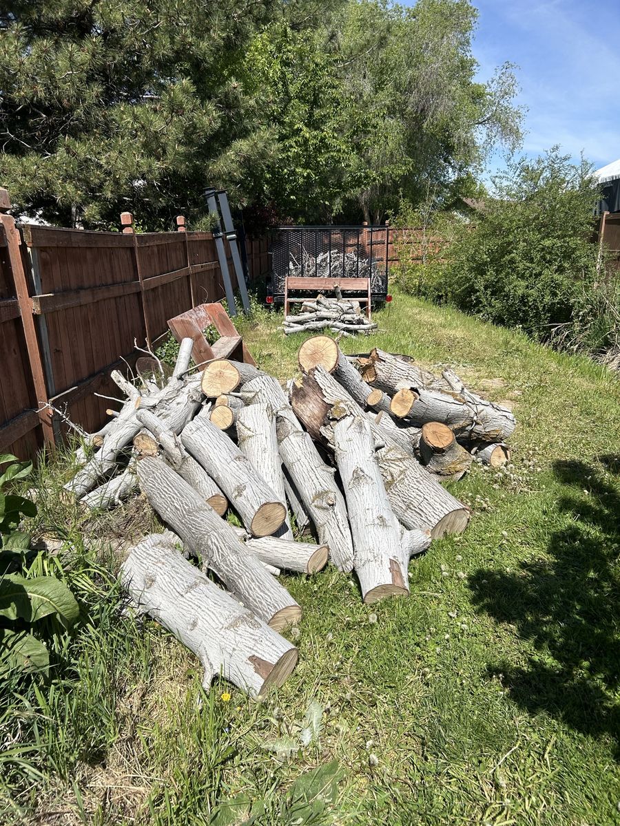 Free English Walnut Wood