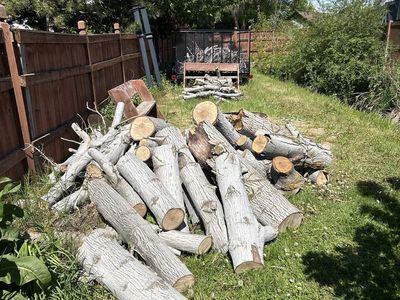 Free English Walnut Wood