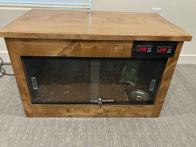 Reptile Enclosure