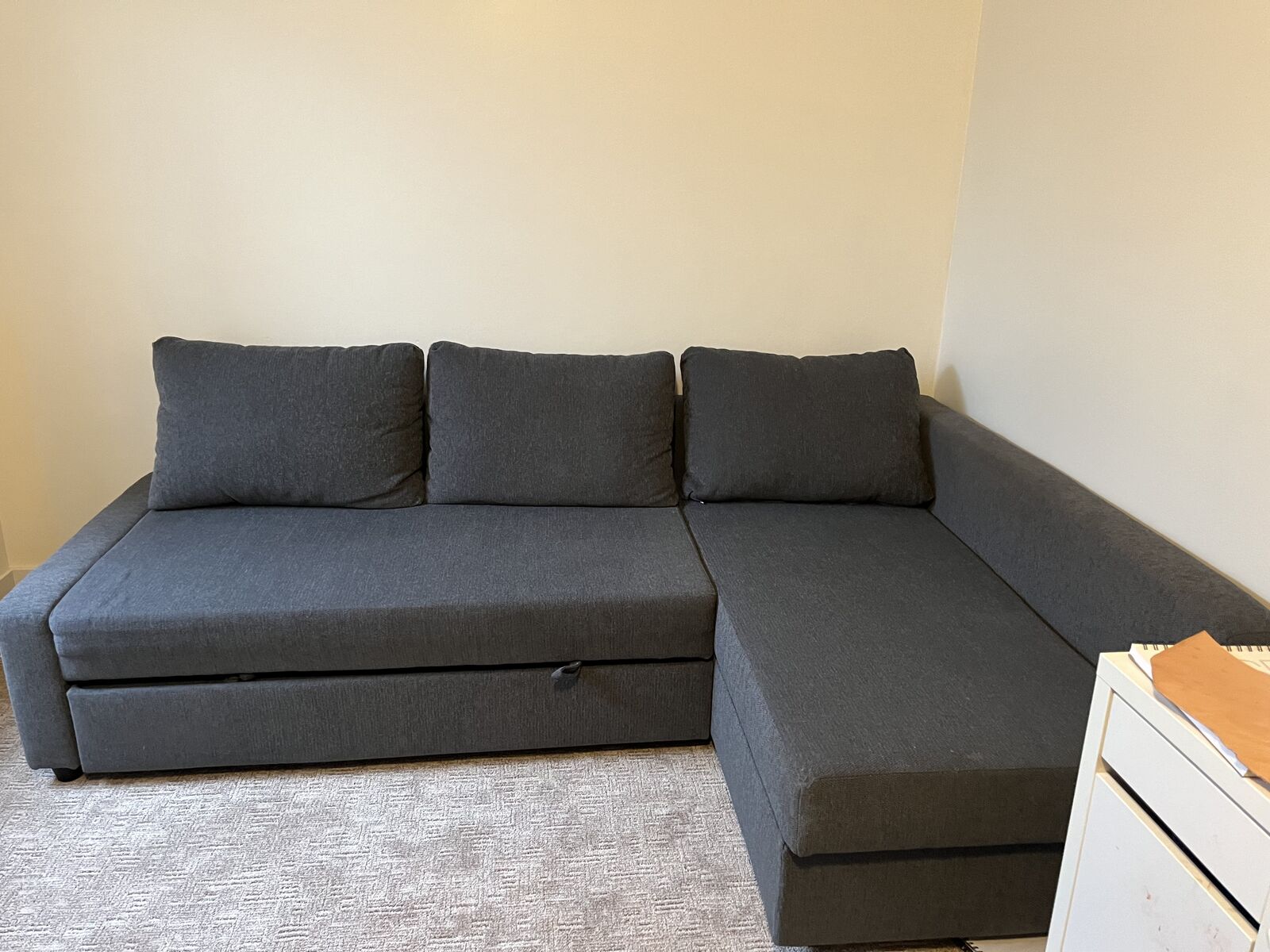Ikea Friheten sleeper sofa