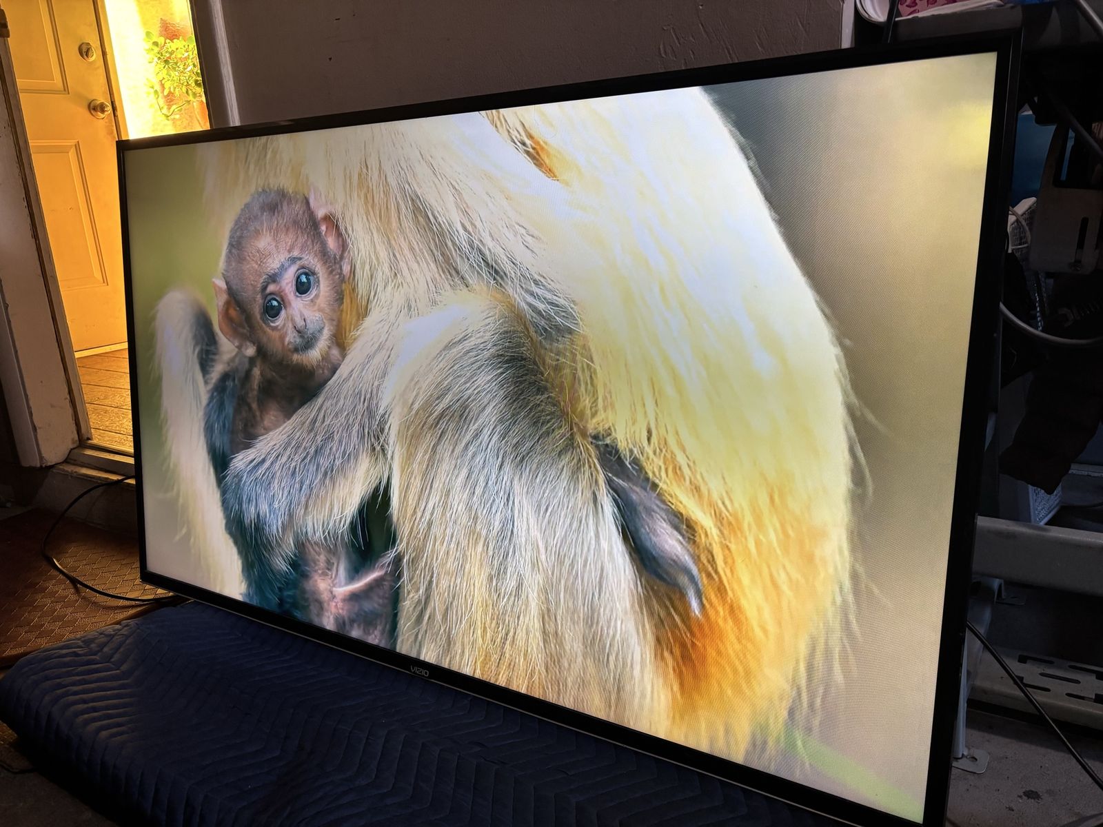 Vizio 55 inch smart tv