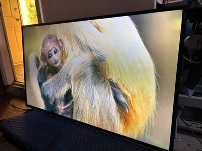 Vizio 55 inch smart tv