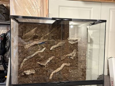 Custom Zoo Med 36x18x36