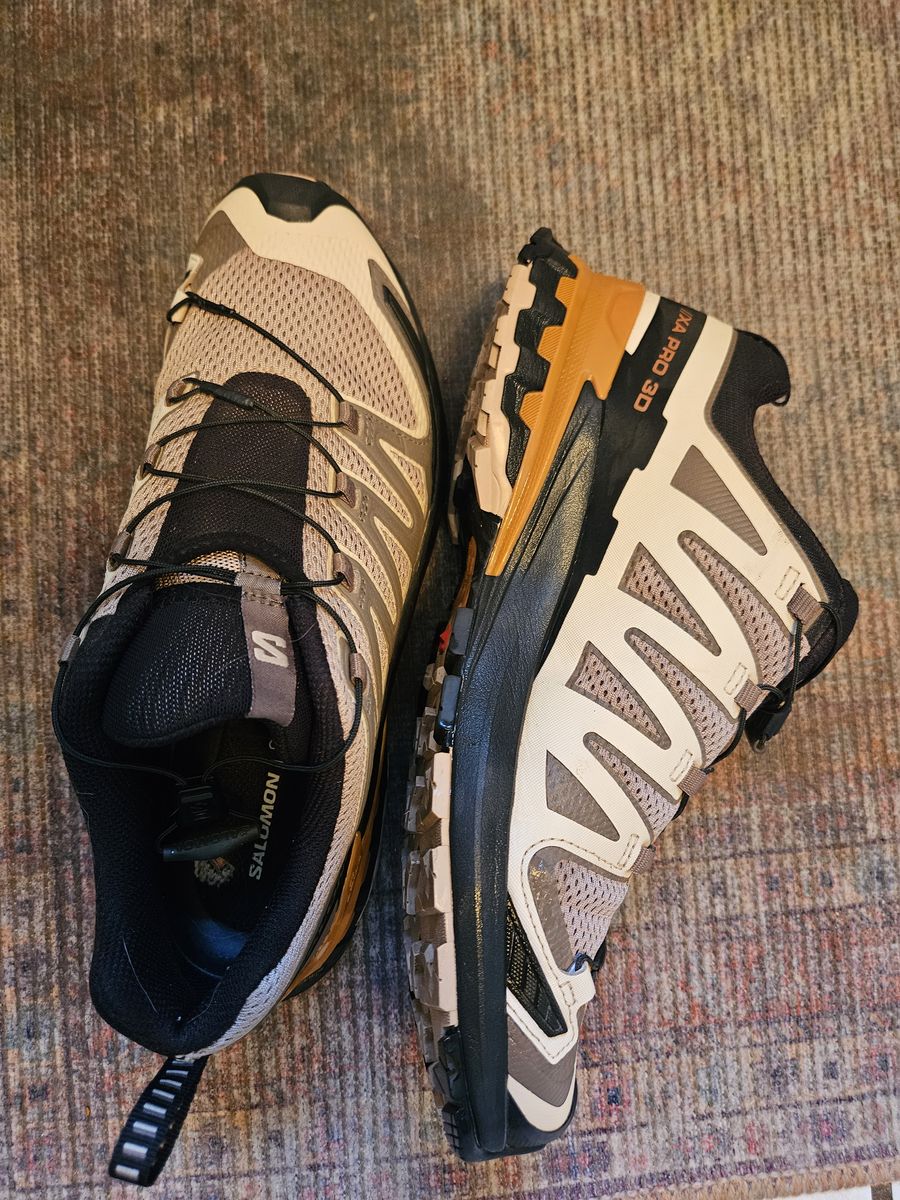 Mens  Salomon shoes size 10