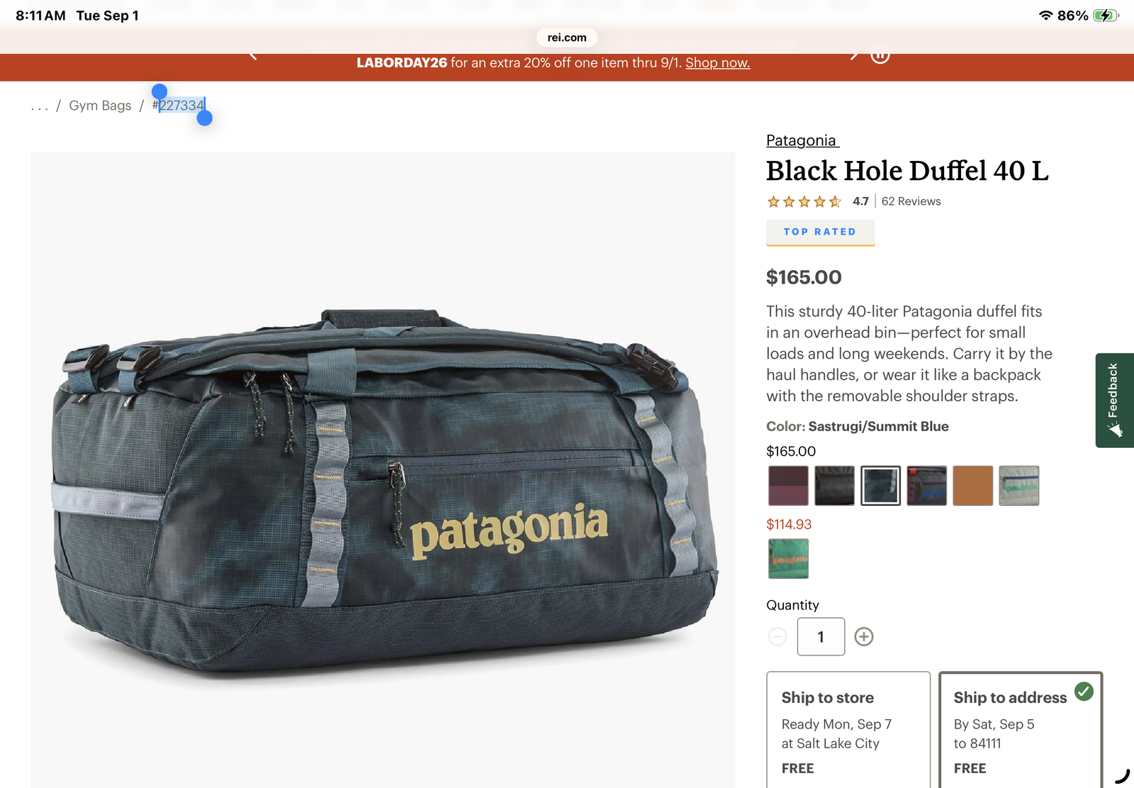 40 L Patagonia black hole.