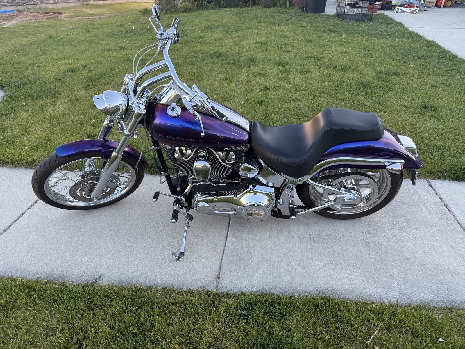 2001 Harley Davidson softail