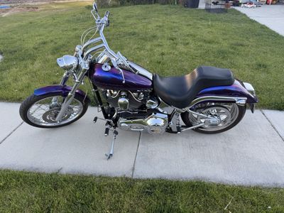 2001 Harley Davidson softail