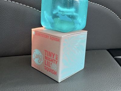 Swig Tiny But Mighty Lil' Squish Mystery Squish Blue Toy with Box