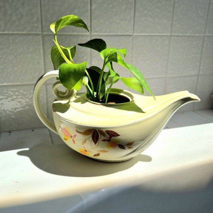Vintage Ceramic Teapot Planter with Floral Pattern and Live Pothos Plant