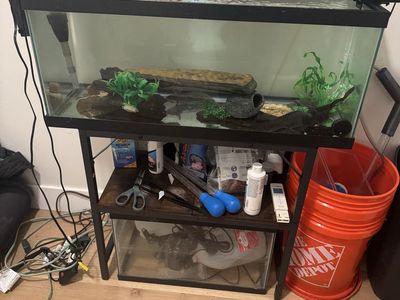 Complete 20 Gallon Aquarium Setup with Stand, Filter,Accessories - Perfect for New Pet Owners!