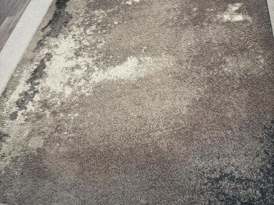 Brown Area Rug - 7ft 10 in x 10 ft 9 in.