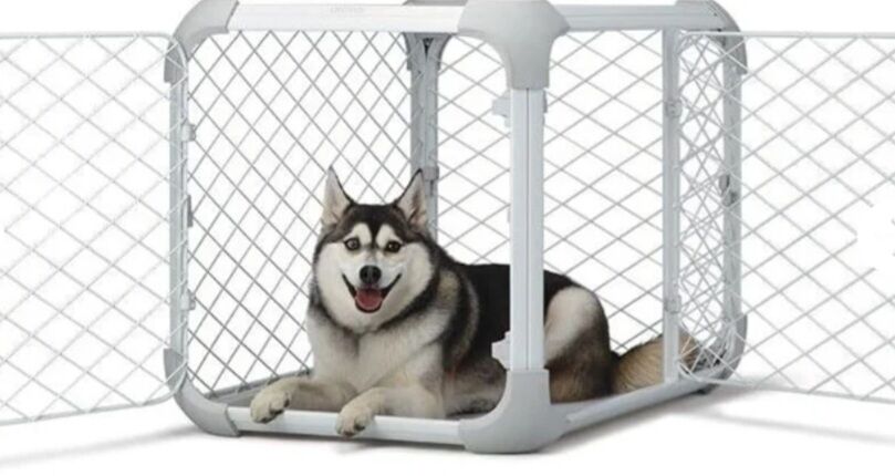 NEW DIGGS Large Collapsible Dog Crate