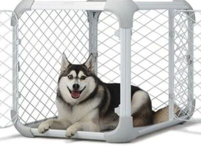 NEW DIGGS Large Collapsible Dog Crate