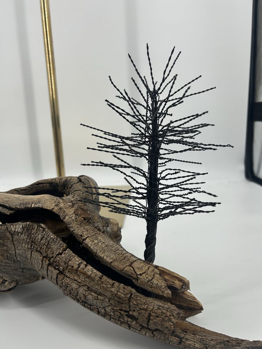 Main image 6