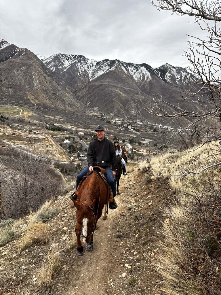 quarter horse gelding