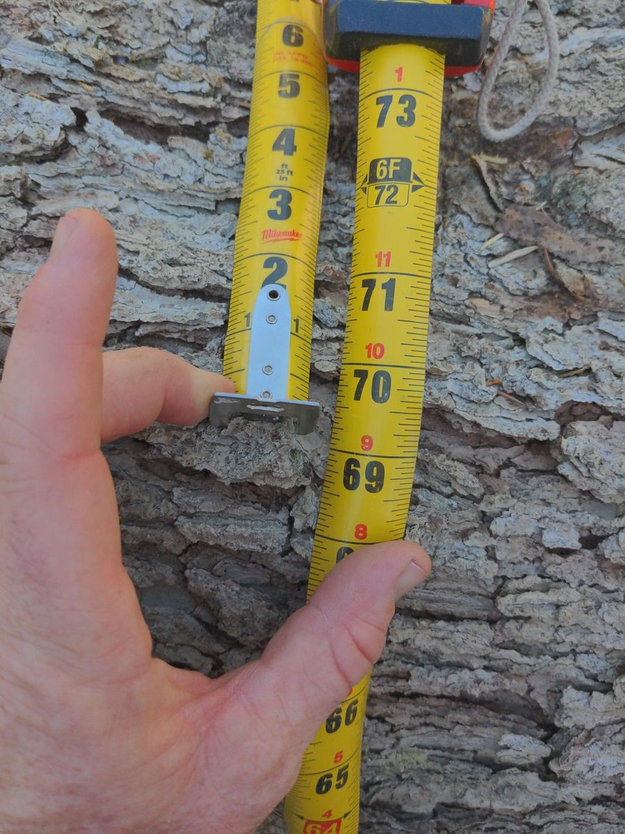 Main image 5