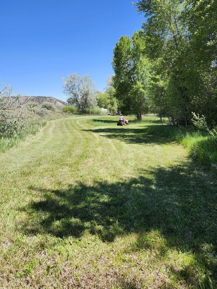 Main image 9