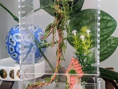 Jumping spider enclosure and accessories, No spider