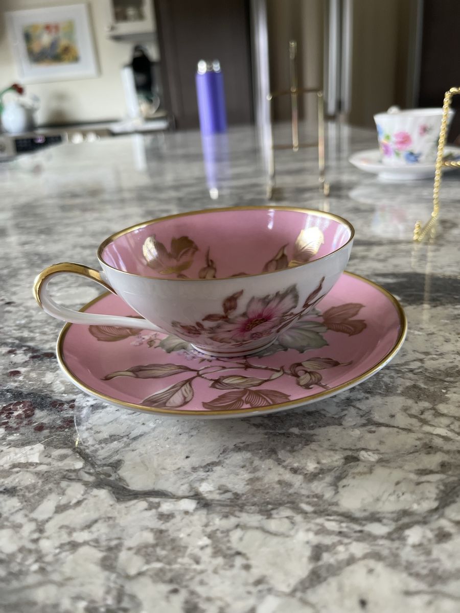 Beautiful Vintage Pink Floral Teacup and Saucer with Gold Trim Made in Germany